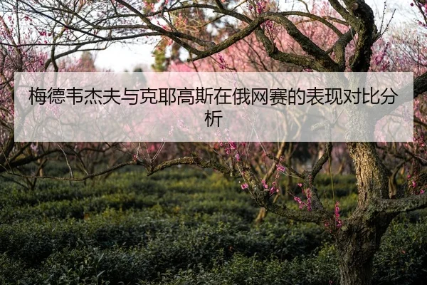 梅德韦杰夫与克耶高斯在俄网赛的表现对比分析